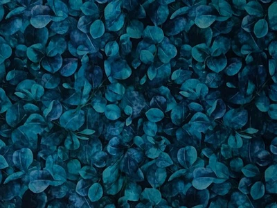 Patchworkstoff von QT fabrics, 37 x 110 cm, 100% Baumwolle, neu - Bild 1 von 4