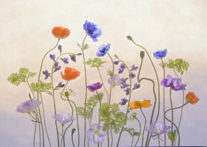 Photo Wall Mural-SPRING BLOSSOM-(7108)-NON WOVEN-Wallpaper- Flowers Painting XXL - Picture 1 of 1