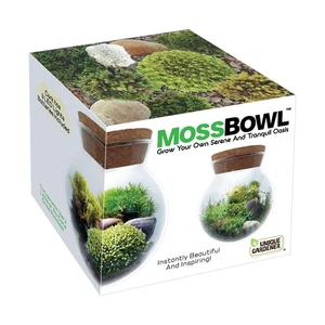 Crea il tuo Santuario del Muschio Sereno con la Ciotola del Muschio Kit Terrario con LED L... - Foto 1 di 6