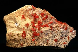 4.75" Superb Cherry Red Vanadinite Crystals on Matrix,  Morocco! ! V258 - Picture 1 of 5