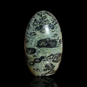 Raw Polished Kambaba Jasper Gemstone Freeform Healing 1lb .8oz (GF042) - Picture 1 of 2