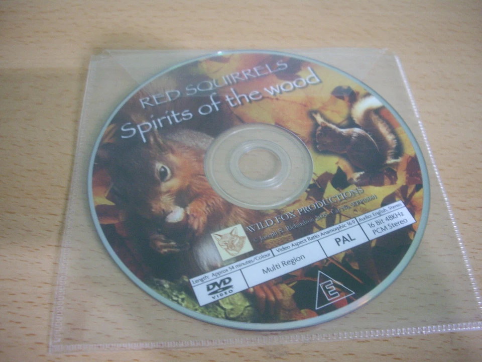 Red Squirrels DVD Spirits Of The Woods Disc Only - Image 1 of 1