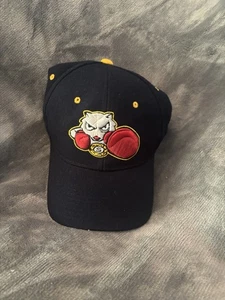 Vintage Bradford Fighting Squirrels Hat Cap 7 1/4 College Sport Baseball Y2K - Picture 1 of 5