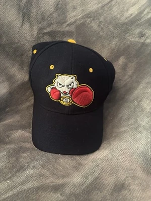 Vintage Bradford Fighting Squirrels Hat Cap  7 1/4 College Sport Baseball Y2K - Image 1 of 4