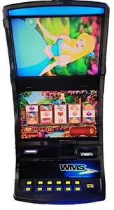 WMS ALICE ENCHANTED MIRRORS WILLIAMS BB1.5 BB2 SLOT MACHINE GAME SOFTWARE - Picture 1 of 1