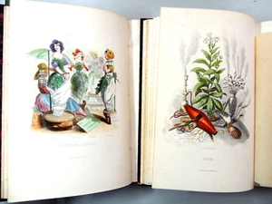 Grandville. Les fleurs animées. 52 Planches coloriées. Botanique des dames . 2/2 - Foto 1 di 21