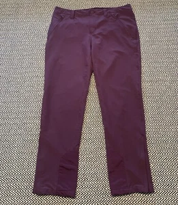Pantalones Patagonia Alpine Guide para mujer 14 ciruela caparazón suave elásticos senderismo nieve - Imagen 1 de 7