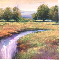 VINTAGE OIL KANVAS A RIAVER LANDSCAPE PAINTING UNSINED - Picture 1 of 4