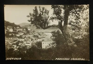 RPPC 1950s? Panorama Old Tree Victoria Philippines Oriental Mindoro Co - Picture 1 of 1