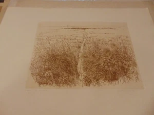 Rare Large High Quality Herbert Fink etching titled " The foot path " 1978 - Picture 1 of 3