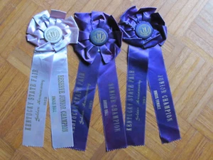 1953 FARM AWARD ANGUS BEEF CATTLE 3 ROSETTE RIBBON KENTUCKY STATE FAIR GOLDEN - Picture 1 of 7