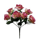 Open Rose Pack of 12 Bushes 14in Mauve