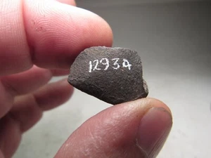 MUSEUM # 12934 SPECIMEN! FRESH CRUSTED WILUNA AUSTRALIAN METEORITE 8.6 GMS - Picture 1 of 8