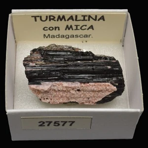 TURMALINA con mica (Madagascar) #27577 / Tourmaline - Bild 1 von 1