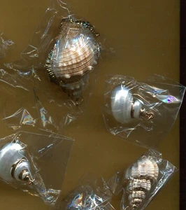 5 ASSORTED SEASHELL PENDANTS & ONE GOLD CHAIN (T51) VARIOUS SIZES & SHAPES - Picture 1 of 3