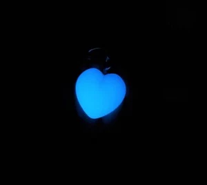 Fake Piercing Klitoris Clip Glow in Dark Schamlippen Schmuck nicht durchbohrt Intim Dessous - Bild 1 von 4