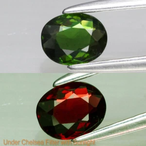 Rare! CHROME TOURMALINE 0.31 ct Green Oval 5.0x4.0x2.2 mm VVS Clarity Mozambique - Foto 1 di 24