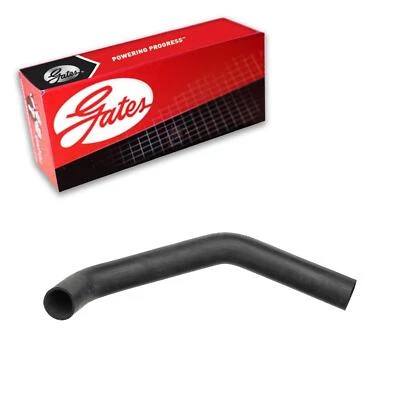 Manguera de refrigerante de radiador Gates superior para Ford F-600 LPO 1990-1994 Foto 1 de 3