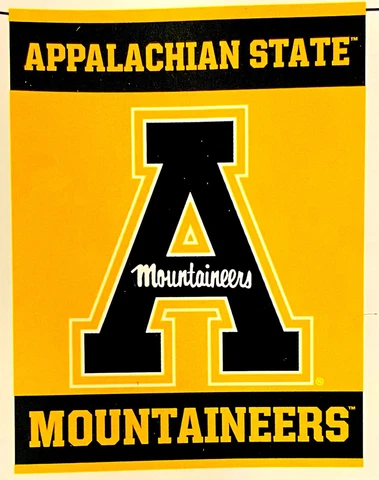 APPALACHIAN APP STATE UNIVERSITY MOUNTAINEERS LARGE FLAG BANNER 36'X47" (3X4 FT) Cover
