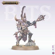 BITS CHAOS SLAANESH LORD OF PAIN WARHAMMER AOS 40,000 40K BITZ