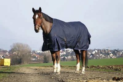 Equithéme Classic 1200D Outdoordecke 50gr Regendecke - Bild 1 von 2