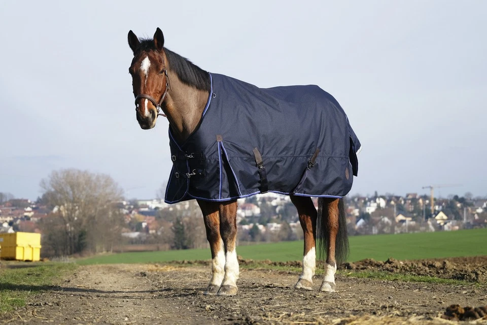 Equithéme Classic 1200D Outdoordecke 50gr Regendecke - Bild 1 von 2