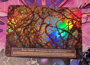 Sorcery : Arthurian Legends *FOIL*  Exceptional BRIAR PATCH NM - Imagen 1 de 4