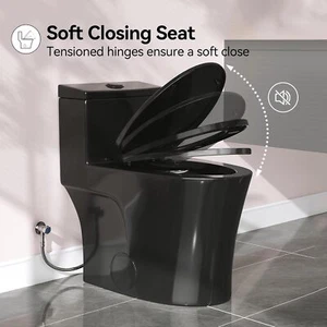 Dual Flush Elongated One Piece Toilet W/ ADA Seat 12'' Rough-In,Matte Black - Picture 1 of 9