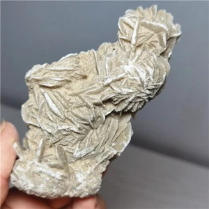 166g DESERT ROSE SELENITE Specimen Crystal Stone Mineral Cluster  i849 - Picture 1 of 13