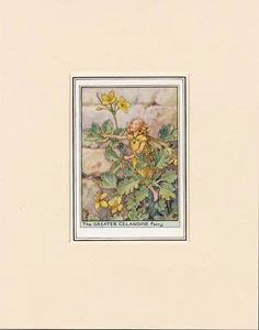 GREATER CELANDINE FAIRY Original Vintage 1940's Cecily Mary Barker Print Mounted - Bild 1 von 1