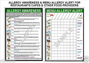 2 A4 POSTERS FOOD ALLERGY AWARENESS+MENU ALERT ALLERGEN LAW SIGN 2015 UP TO DATE - Picture 1 of 1