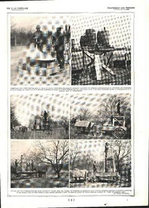 Traitment ds vergeres / Ruches couverts. Stampa 1924 - Foto 1 di 2
