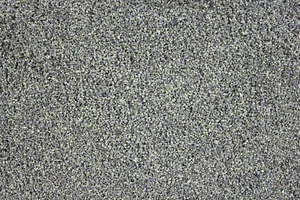 1000Kräuter Brennnesselsamen Brennnesselsaat ganz Brennesselsamen 500 g - Bild 1 von 2