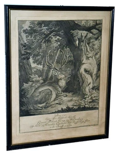 Radierung, Ridinger, Hirsch erlegt"d. Herzog zu Württemberg,gerahmt,um 1720 - Picture 1 of 4