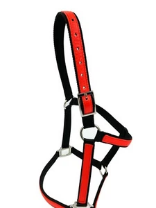 Halter para caballos de todos los tamaños, potro a tiro talla 3 capas hecho a mano Carter suministro para mascotas - Imagen 1 de 21