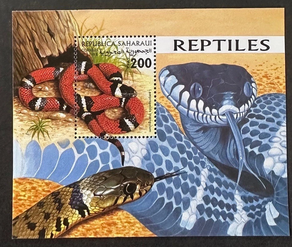 西班牙萨哈拉美丽完好未铰边 1998 年纪念品床单蛇 — 第 1/1 张图片