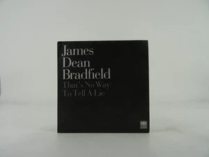 JAMES DEAN BRADFIELD THAT'S NO WAY TO TELL A LIE (A23) 1 Track Promo CD Single a - Picture 1 of 7