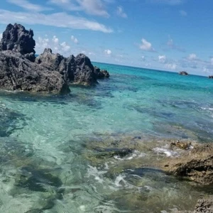 NEW BLACK Egg Shaped Musical Jewelry Box with Crystallized Swarovski   - Picture 1 of 1