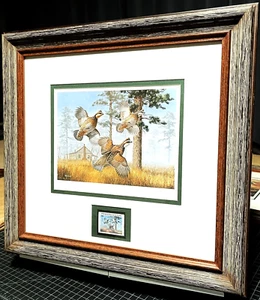 David Maass 1982 International Quail Foundation Stamp Print With Stamp - Framed - Picture 1 of 9