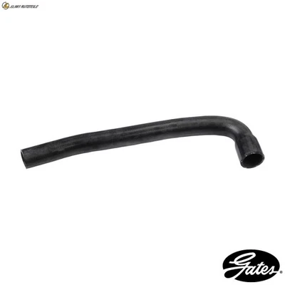 KÜHLERSCHLAUCH 3297 FÜR RENAULT 4/Hatchback/Box/Body/MPV C1E718/719/714 1.1L - Image 1 of 4