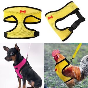 Supplies Adjustable Chicken Vest Harness Pet Matching Collars Bow Hen Belt