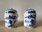 2 Asiatische Porzellan Gefäße Tee Ingwer blau weiß handbemalt China Japan 