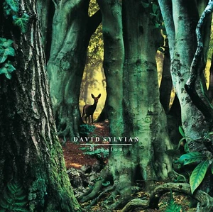 DAVID SYLVIAN Manafon (180g VINYL 2xLP) - Picture 1 of 1