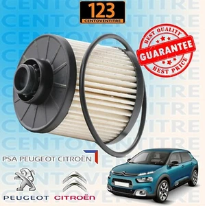 Filtro Gasolio CITROEN C4 PICASSO DS4 CROSSBACK 1.6 BlueHDI 2.0 BlueHDI - Foto 1 di 8