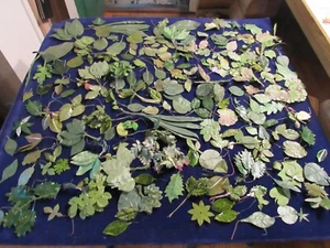 Vtg Millinery Flower Collection Leaves Green 1-10" Some Velvet Some Shabby Y53 - Picture 1 of 17