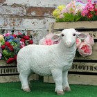 White Sheep Lamb Garden Ornament Statue Farmyard Animal Lawn Statue Patio Décor 