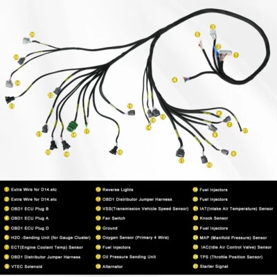 OBD1 Budget D/B-series Tucked Engine Harness For Honda Civic CRX Integra B16 D16 - Image 1 of 4