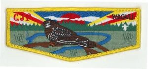 USA BOY SCOUTS OF AMERICA - BSA OA WAGULI LODGE 318 CJP SCOUT WWW FLAP PATCH - Picture 1 of 2