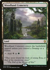 MTG Dominaria DOM Woodland Cemetery NM/M - Picture 1 of 1