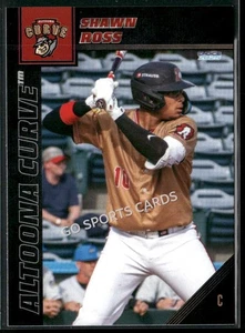 Altoona Curve Shawn Ross 2025 radiocontrol novato piratas relaciones públicas ligas menores - Imagen 1 de 2